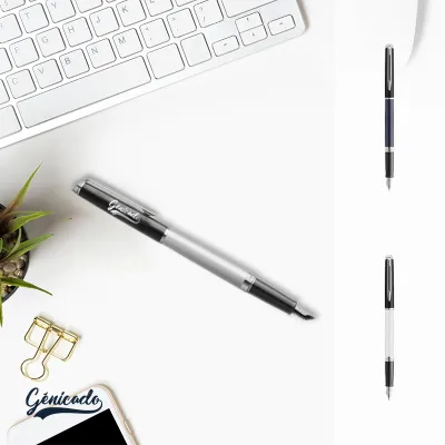 Stylo luxe plume Waterman avec habillage palladium
