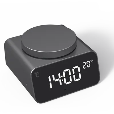 REDDI ALARM dark grey