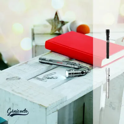 Lampe extensible