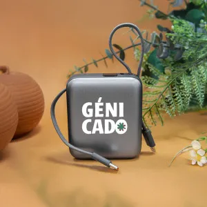 Batterie de secours avec câble USB 10 000 mAh