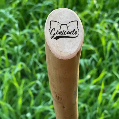 Bâton de marche personnalisé en bois de châtaignier