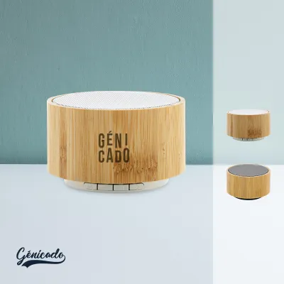 Enceinte 3W en bambou et ABS RCS