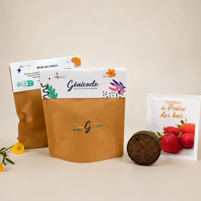 Mini pop-up kraft graines