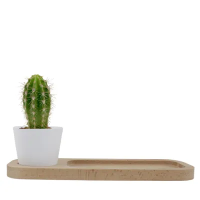 Organiseur bureau avec plante