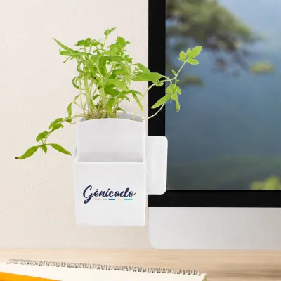 Box végétal avec graines