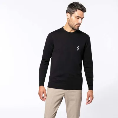 Pull homme col rond