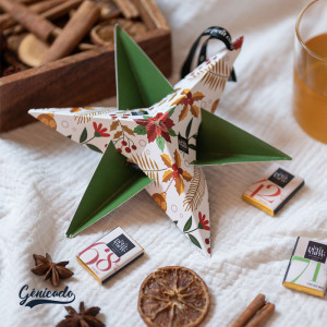 Etoile de Noël 1 carré