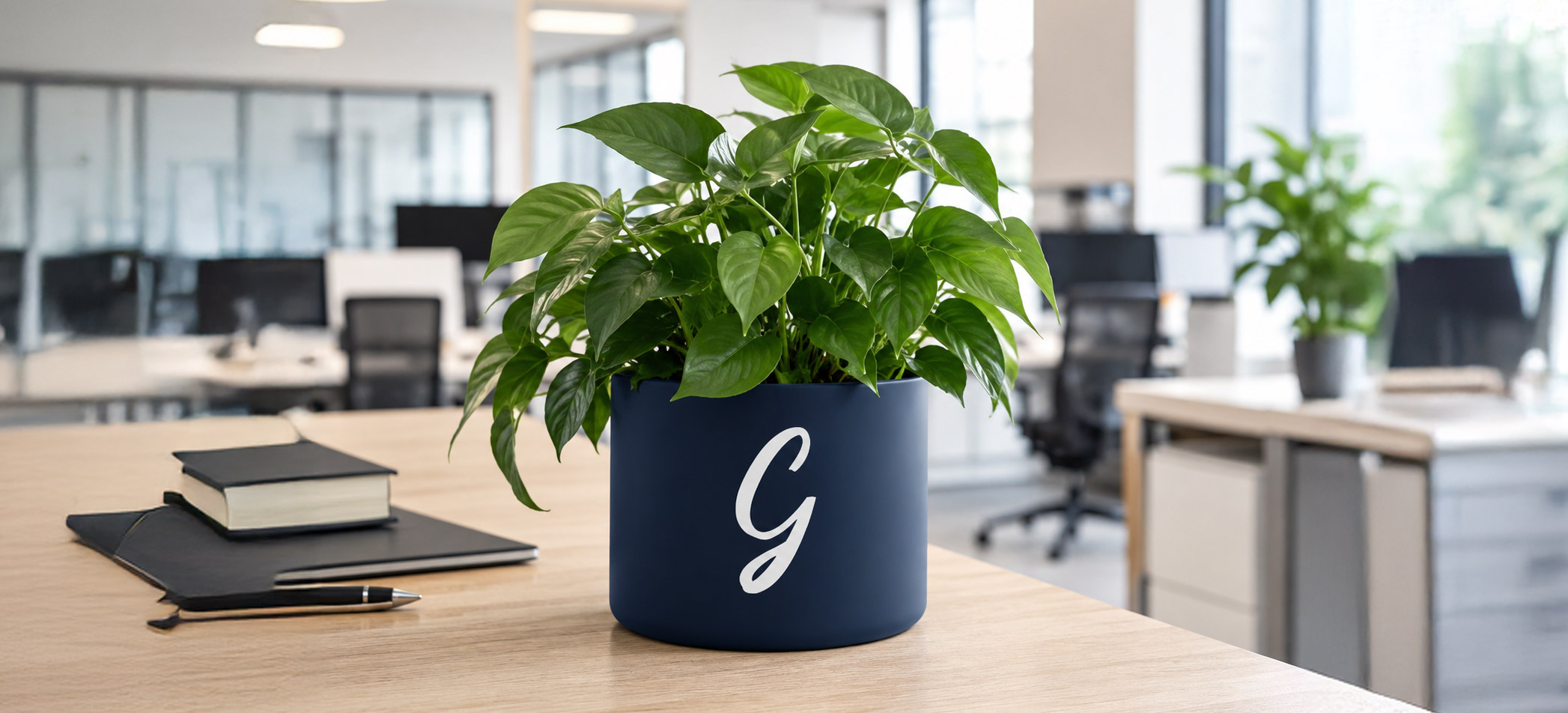 Plante publicitaire personnalisée pour bureau et entreprise