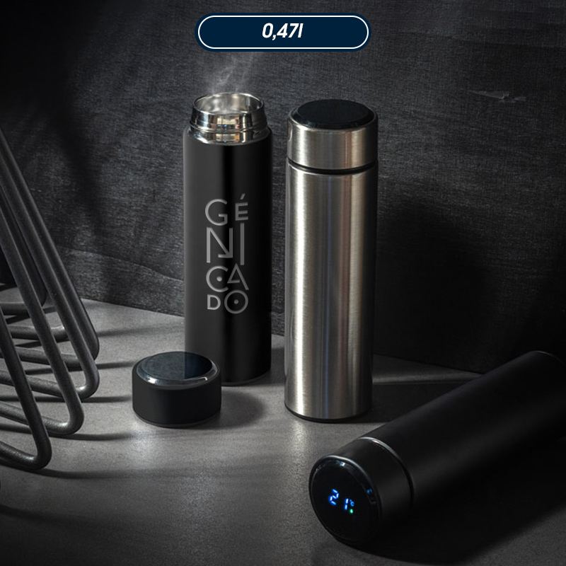 Bouteille infuseur thé 470mL en acier inox