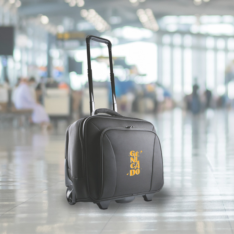 Valise trolley ordinateur